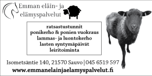 ILM-Emman-elain-elamys-50x25