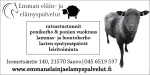 ILM-Emman-elain-elamys-50x25